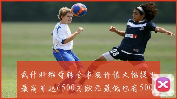 武什科维奇转会市场价值大幅提升最高可达6500万欧元最低也有5000万欧元